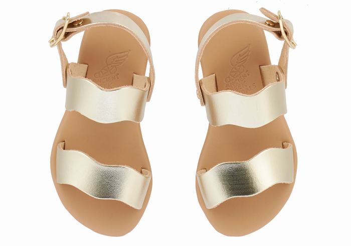 Sandales Casual Ancient Greek Sandals Little Calamos Soft   | JJJ-7016768